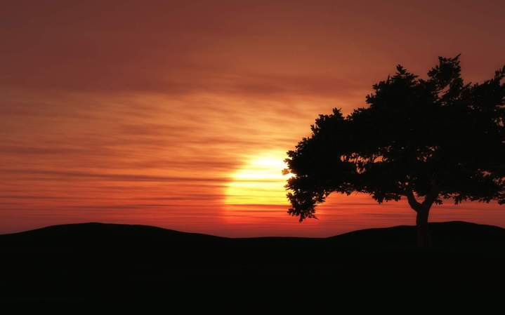 sunset